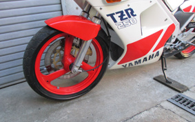 YAMAHA TZR250-1 1KT