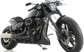 HARLEY FXDRS 2020 YVK