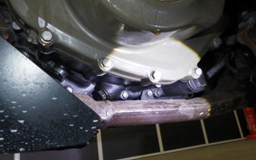 HUSQVARNA SVARTPILEN 401 2021