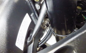 YAMAHA FZ1 FAZER 2008