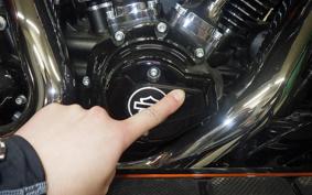 HARLEY FLHXSE1980CVO 2025