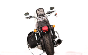 HARLEY FXDL 2015 GN4