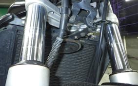 KAWASAKI BALIUS 250 Gen.2 2011 ZR250B