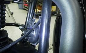 OTHER +ENFIELD ﾒﾃｵ350 2022