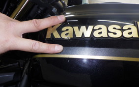 KAWASAKI ZRX1200 D 2009 ZRT20D