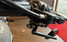 HARLEY FLFB 2025 YF9
