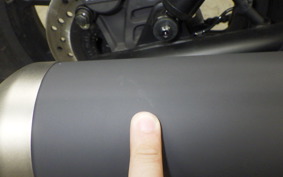 HONDA REBEL 250 2006 MC49