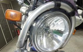 YAMAHA TT250R RAID 4GY