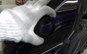 HONDA REBEL 250 2018 MC49