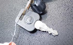 OTHER CAN-AMﾗｲｶｰ900 2019