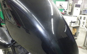 YAMAHA VIRAGO 250 2012 3DM