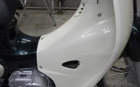 HONDA C50 SUPER CUB 2009 AA09