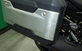 SUZUKI Vｽﾄﾛｰﾑ250 2023