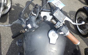 YAMAHA VIRAGO 250 3DM