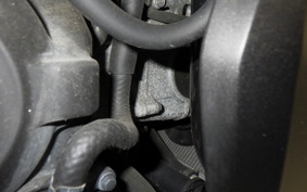 HONDA FORZA 250 1994 MF13