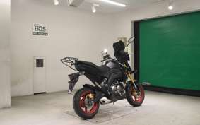 KAWASAKI Z125 PRO BR125H