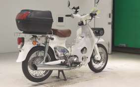 HONDA LITTLE CUB E AA01