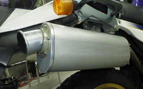 KAWASAKI SUPER SHERPA 2023 KL250G