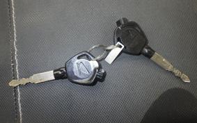 HONDA ZOOMER-X 2018 JF52