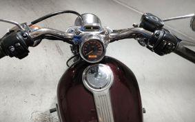 HARLEY XL1200C 2006 CGP