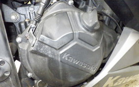 KAWASAKI NINJA 250 EX250L
