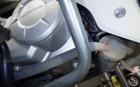 HONDA C50 SUPER CUB 2019 AA04