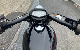 HONDA VT1300CX 2014 SC61