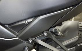 KAWASAKI NINJA 1000 A 2019 ZXT00W