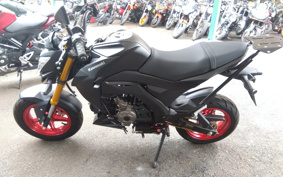 KAWASAKI Z125 PRO BR125H