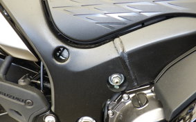 SUZUKI HAYABUSA Gen.3 2025 EJ11A