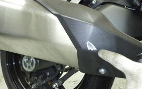 KAWASAKI NINJA 1000 SX 2024 ZXT02K