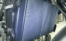 TRIUMPH TRIDENT 660 2026