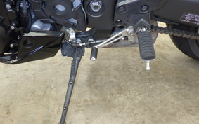 KAWASAKI NINJA 1000SX 2024 ZXT02K
