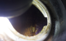 HONDA ZOOMER 2018 AF58