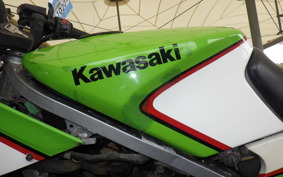 KAWASAKI KR250 KR250A