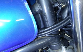 KAWASAKI BALIUS 250 Gen.2 2021 ZR250B