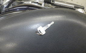 YAMAHA VIRAGO 250 2010 3DM