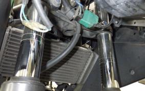 HONDA CBR250R GEN 3 MC41