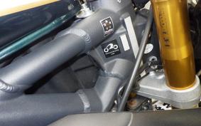 TRIUMPH DAYTONA 675 2013