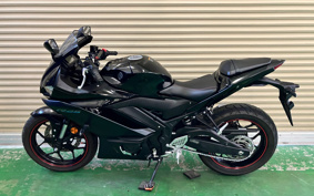 YAMAHA YZF-R25 RG74J