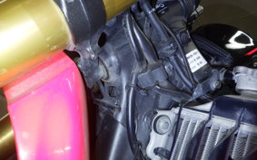 HONDA CRF250 RALLY LDA 2002 MD44