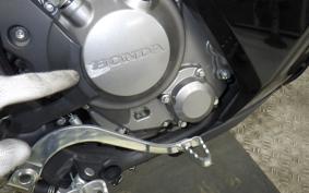HONDA CRF250 GEN 2 RALLY 2007 MD47