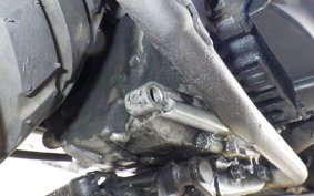 HONDA ZOOMER 2025 AF58