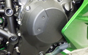 KAWASAKI NINJA H2 SX 2023 ZXT02P