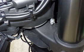 DUCATI STREETFIGHTER V2 2022