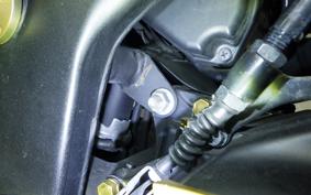 KAWASAKI NINJA 250R 2021 EX250K