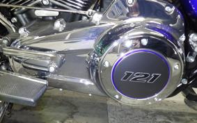OTHER +HD. FLTRXSE1980CVO 2025