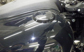 HARLEY FXLRST1920 2022