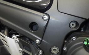 KAWASAKI ZX 1400 NINJA R A 2014