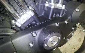 HARLEY XL883N 2017